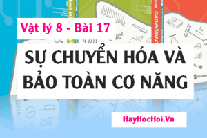 Sự chuyển hóa và bảo toàn cơ năng, Định luật bảo toàn cơ năng và Bài tập - Vật lý 8 bài 17